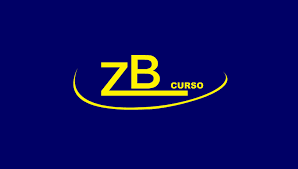 logo zely de baarros_1.png